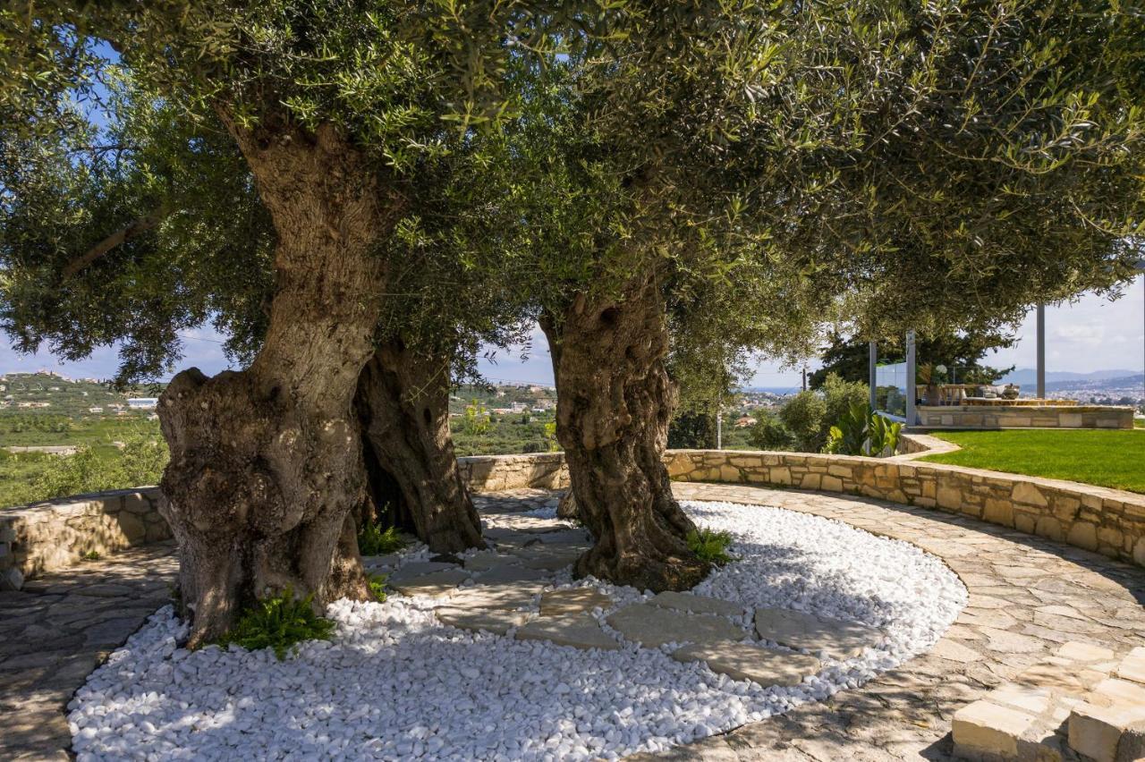 Olivenest Chania Executive Villa Perivólia Eksteriør bilde